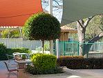 Aegis Ascot - picture-04-terrace.jpg